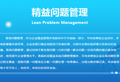 Info Lean problem Management